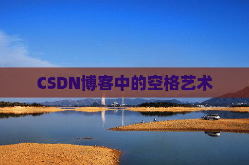 CSDN博客中的空格艺术